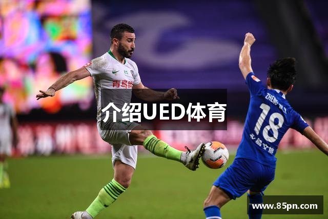 介绍UED体育